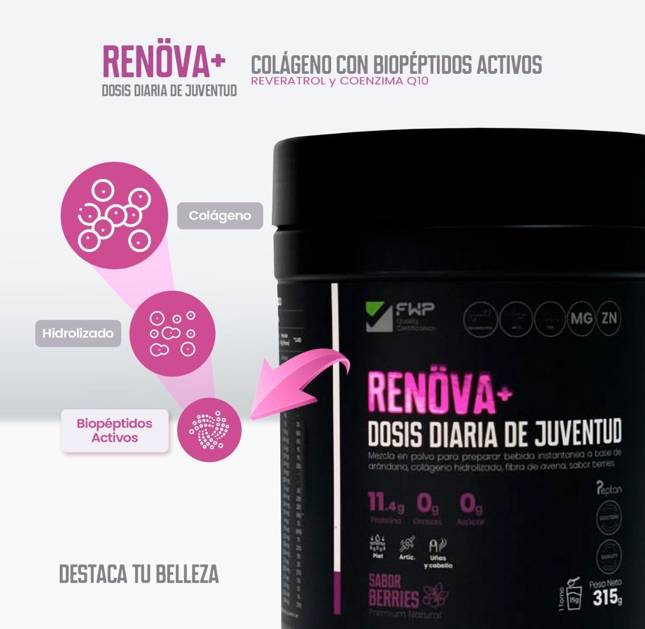 COLAGENO RENOVA