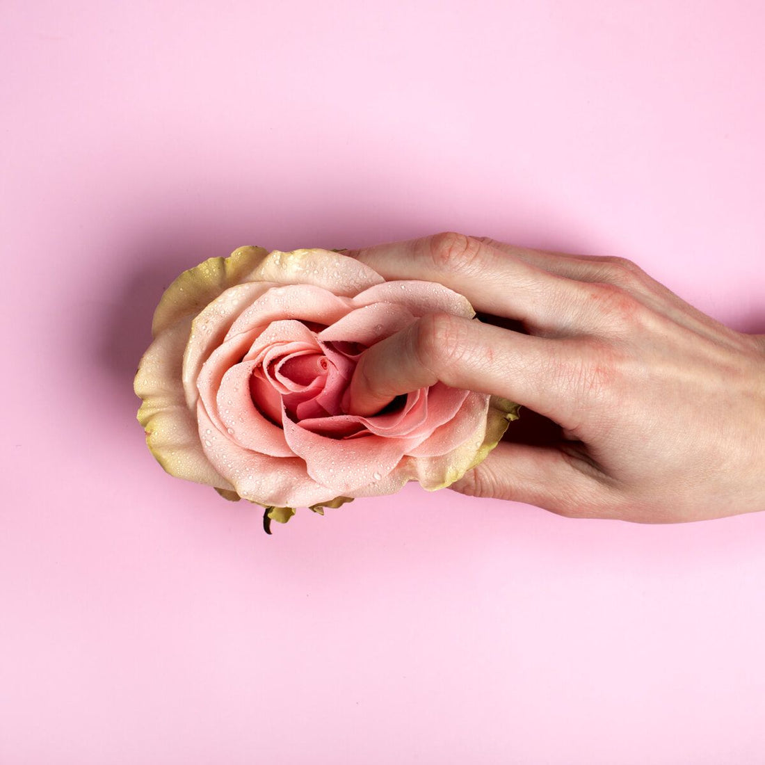 Nuestra Historia — CONFIA SALUD 🌸